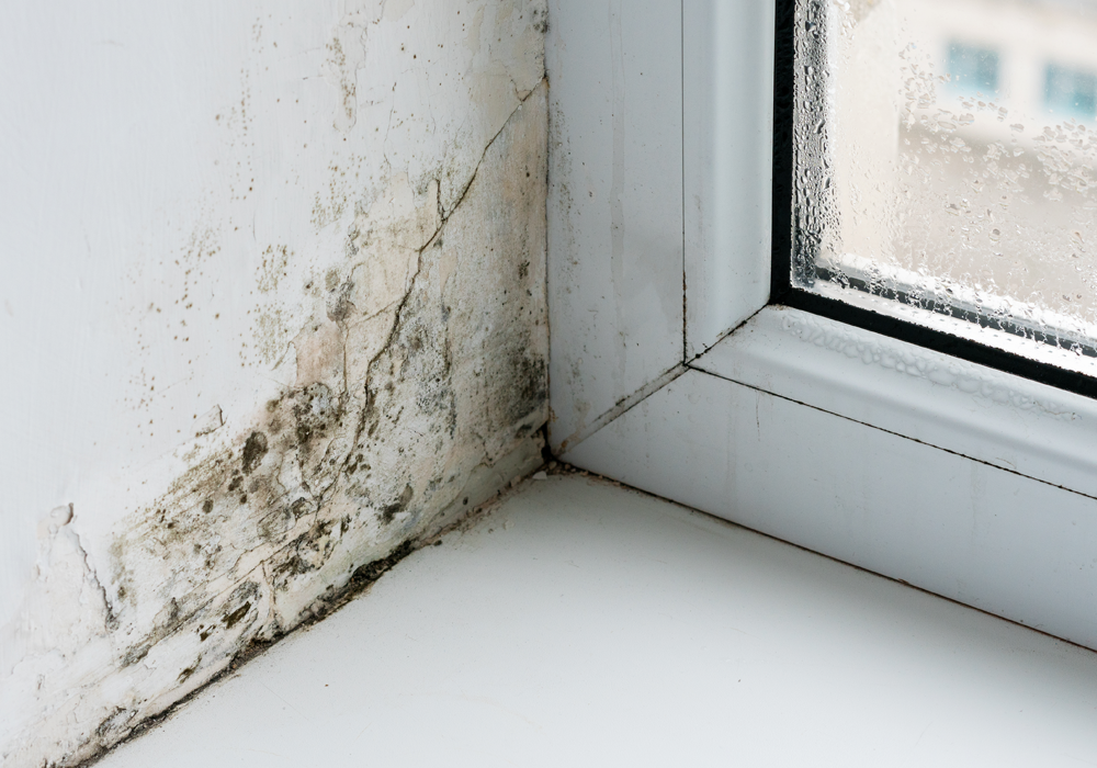 Window Bleed learn-more – sturdflex
