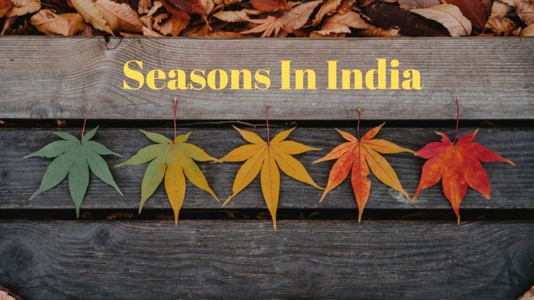 Exploring the Enchanting Seasons of India and how each season impacts the integrity of homes